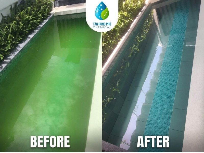 Actual Before and After results applying Tan Hung Phu's green algae pool recovery protocol